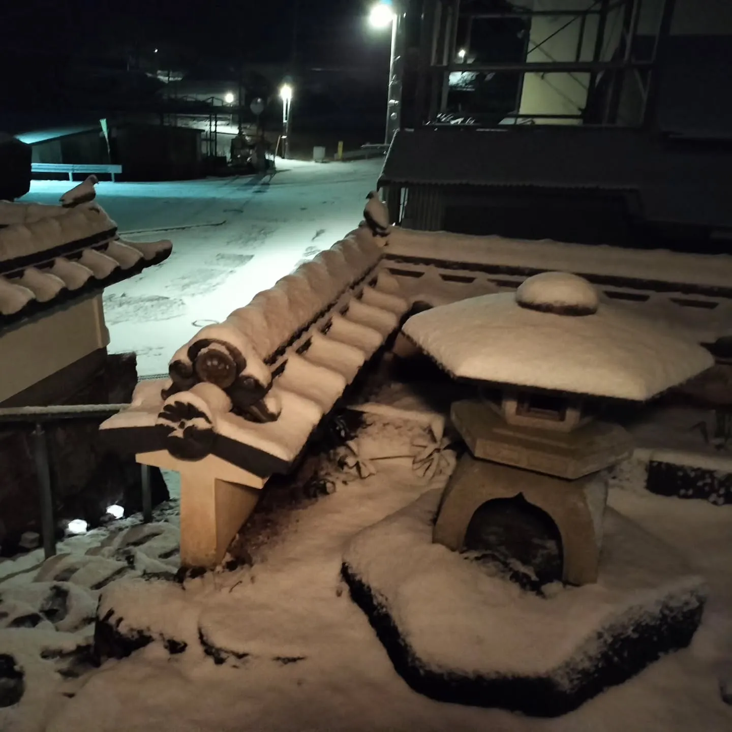 昨夜しんしんと雪が積もりました。