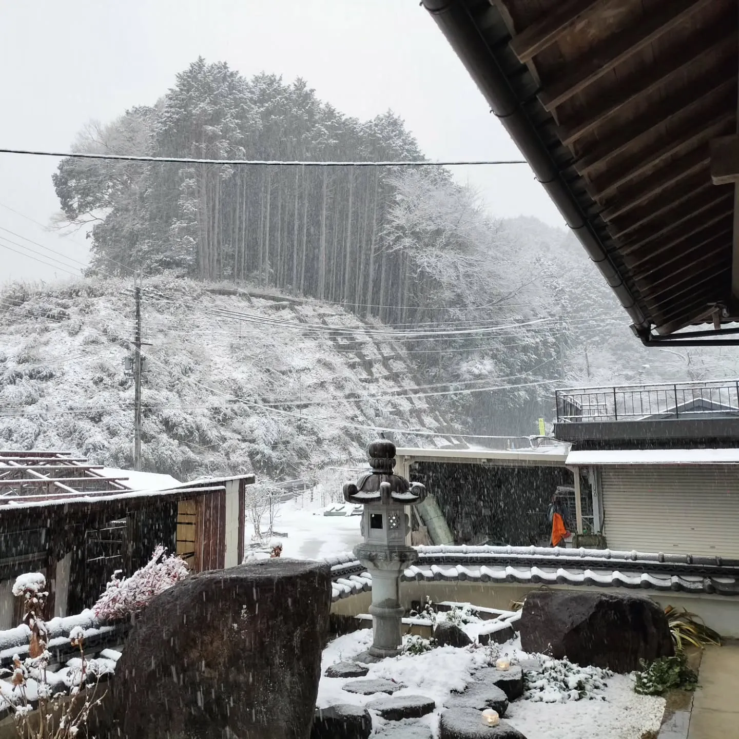 2月18日17時丹生町の積雪状況です。