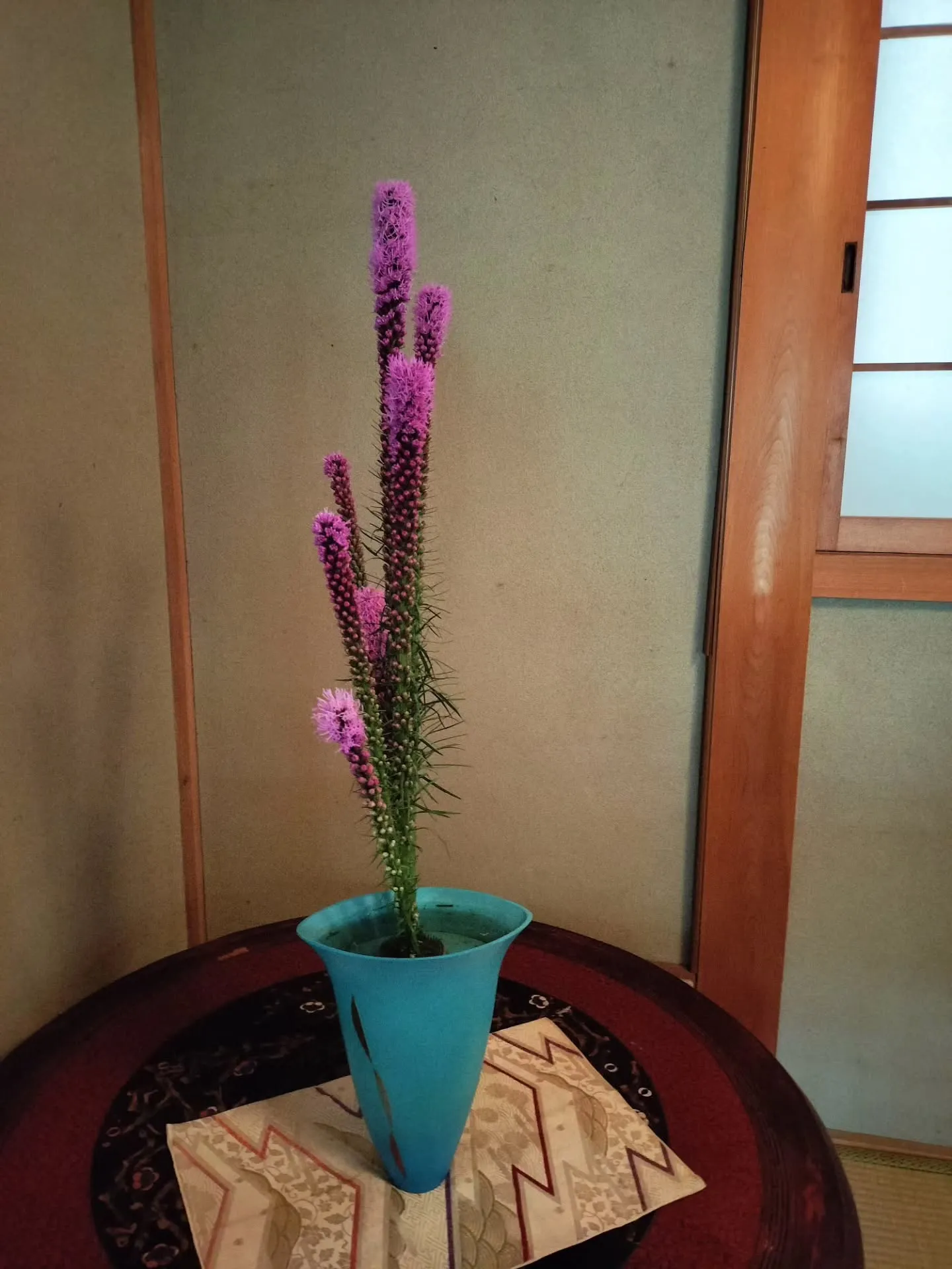 アガパンサス、リアトリスいただきました。