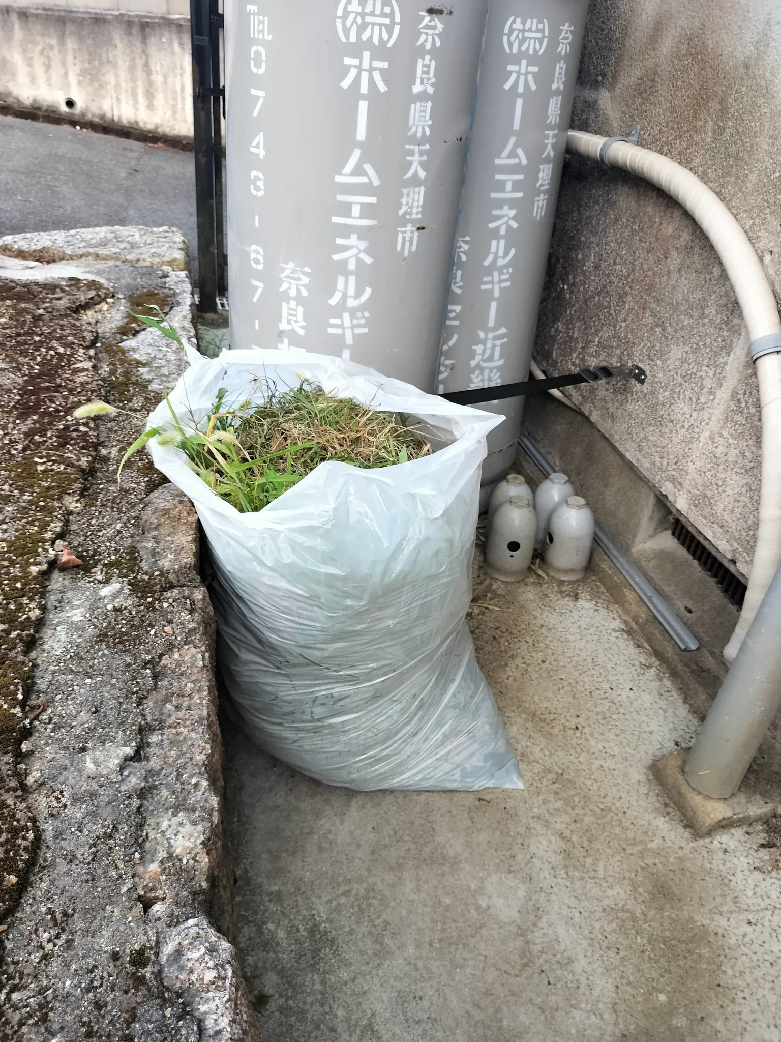 駐車場の草引きしました。